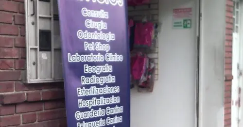 CENTER PETS VETERINARIA BOGOTÁ CENTER PETS VETERINARIA BOGOTÁ